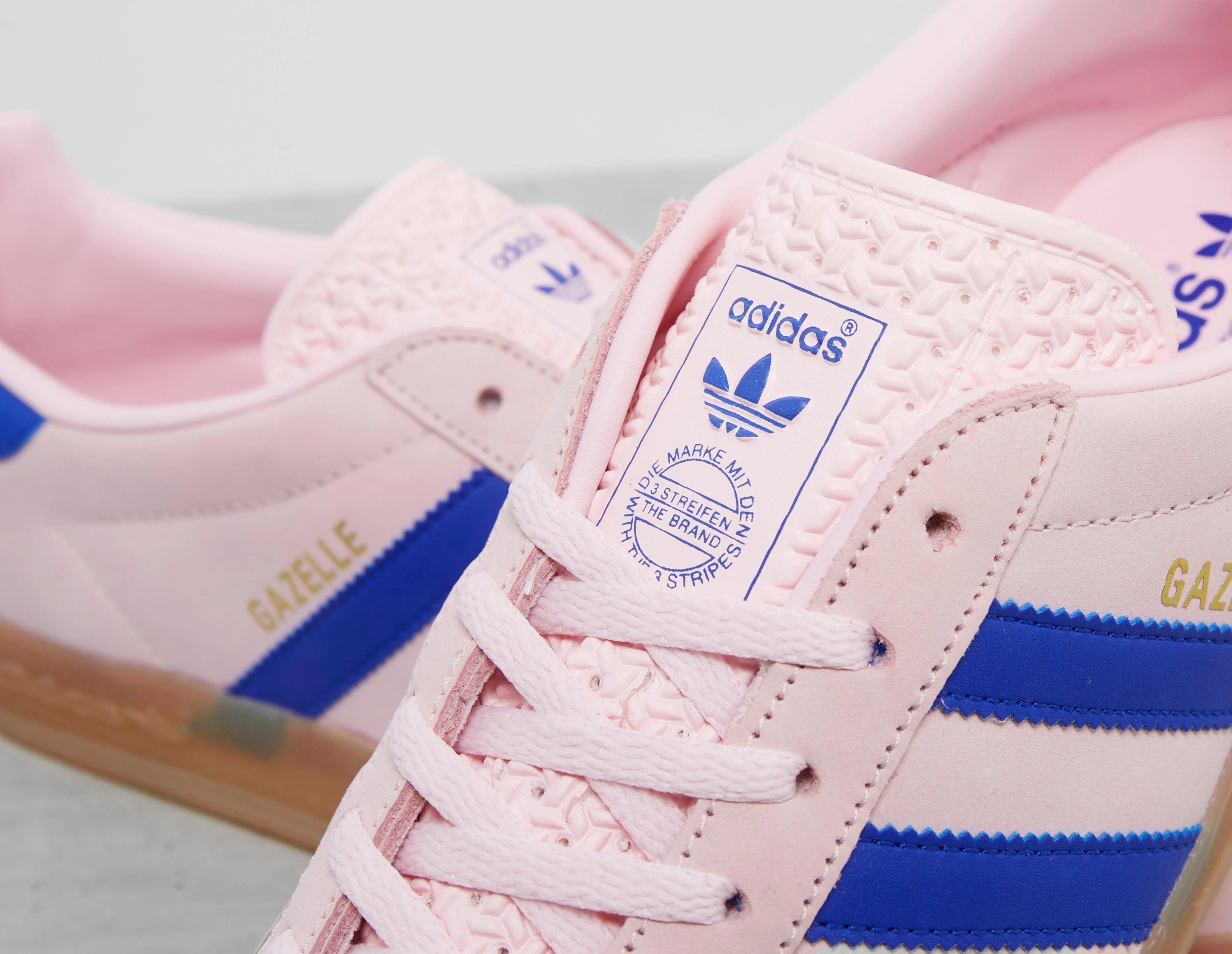 Gazelle Indoor - Image 2