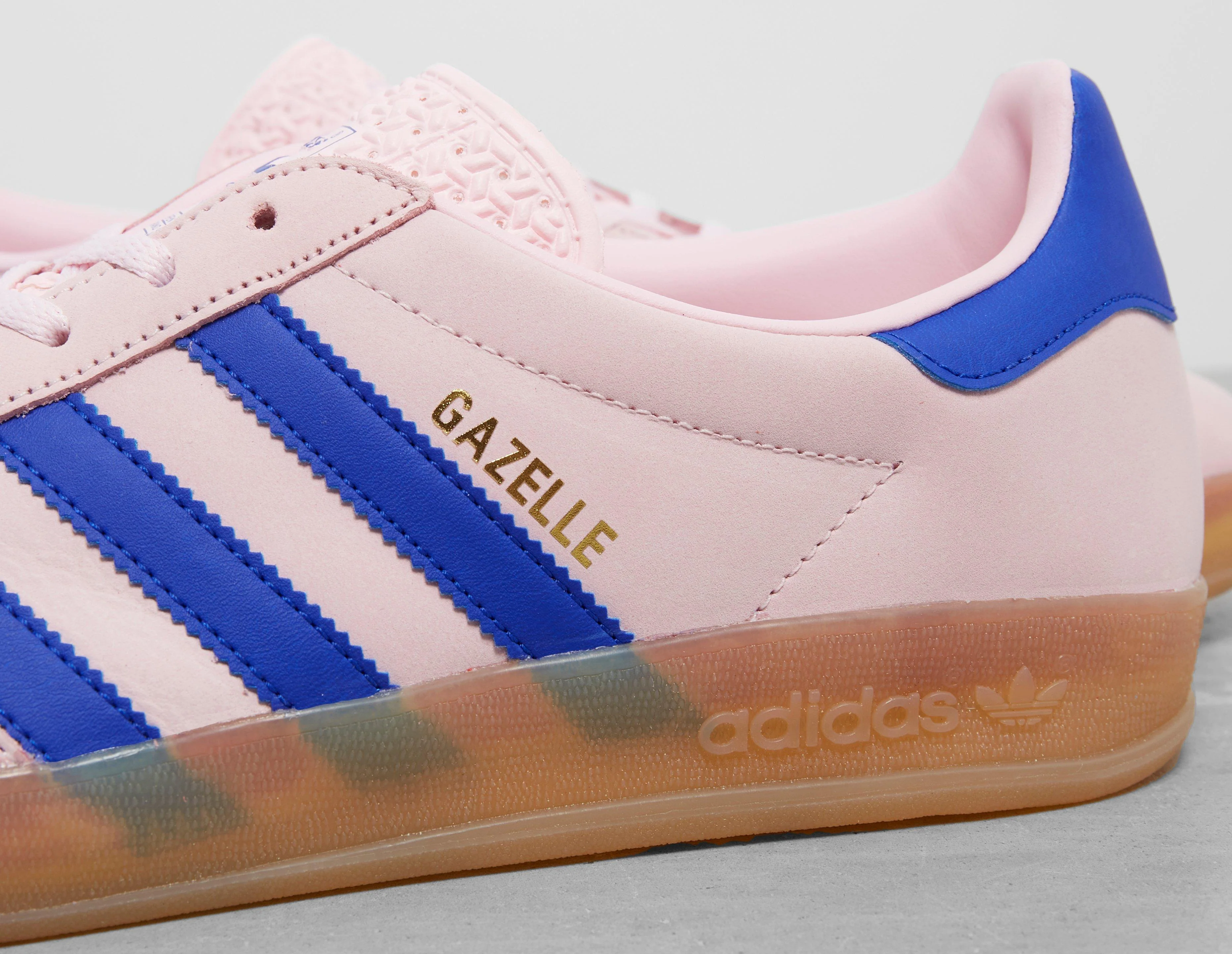 Gazelle Indoor - Image 4