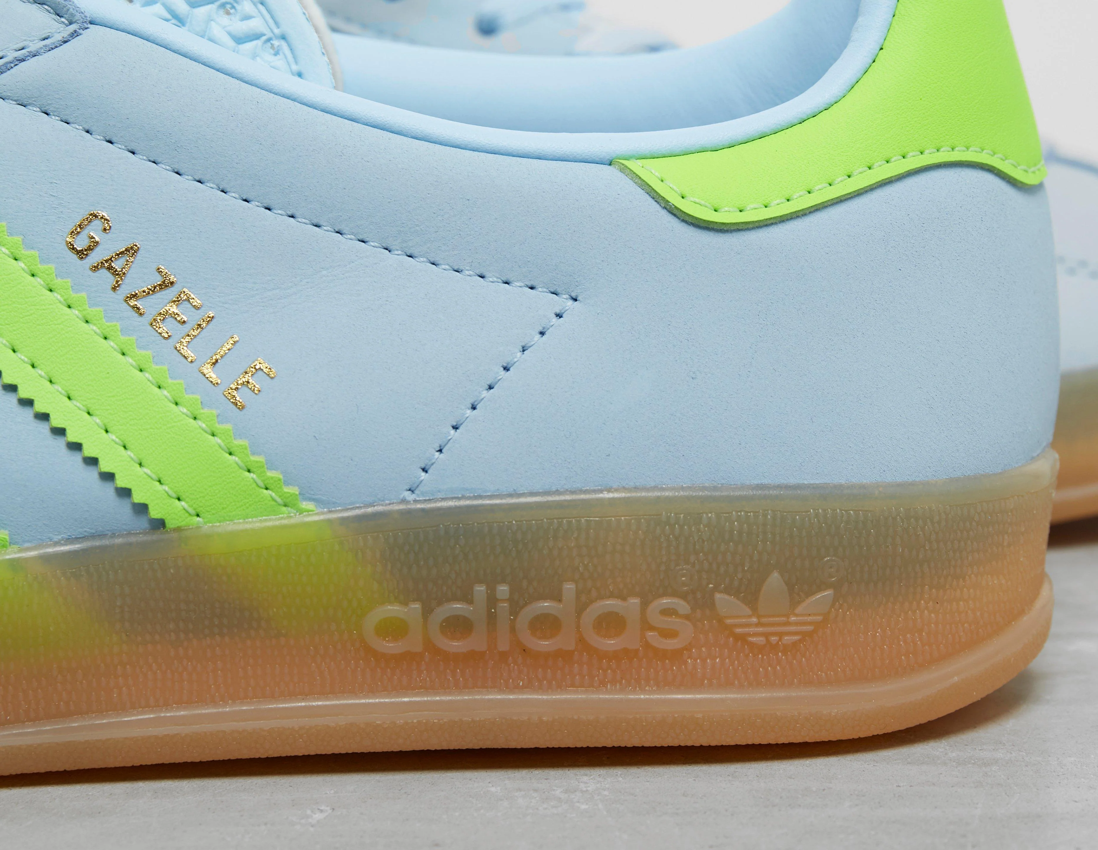 Gazelle Indoor - Image 4