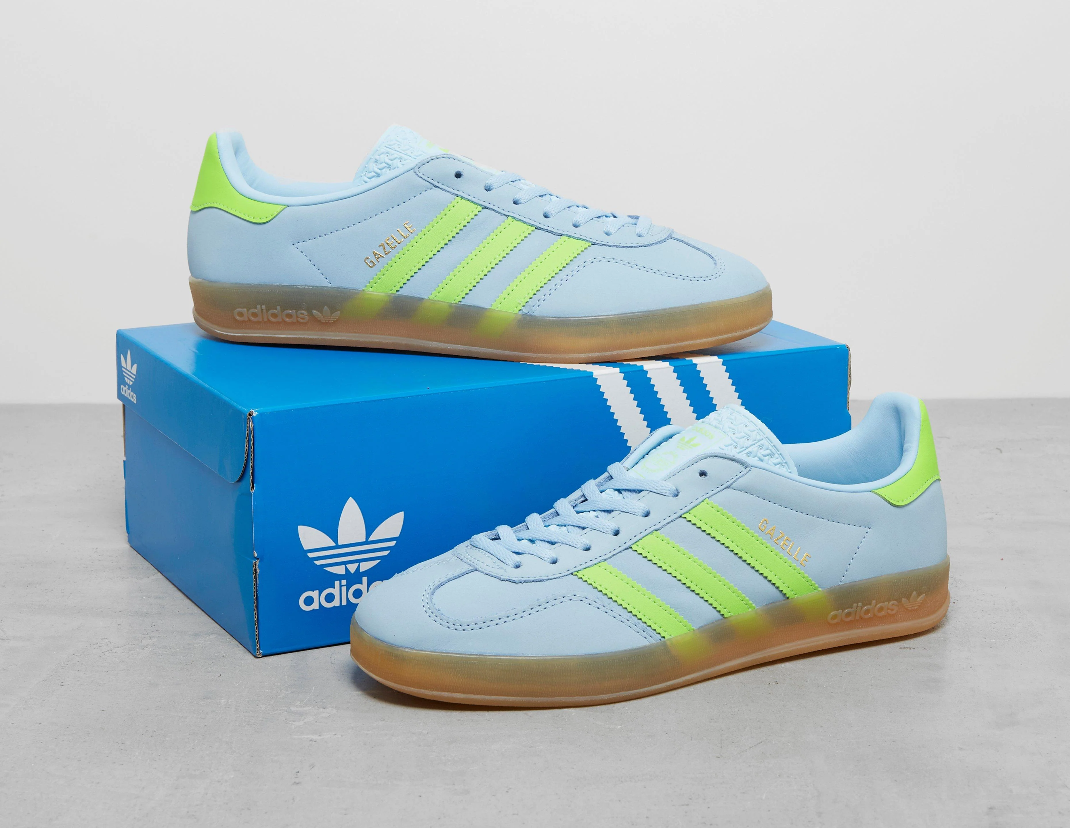 Gazelle Indoor - Image 5