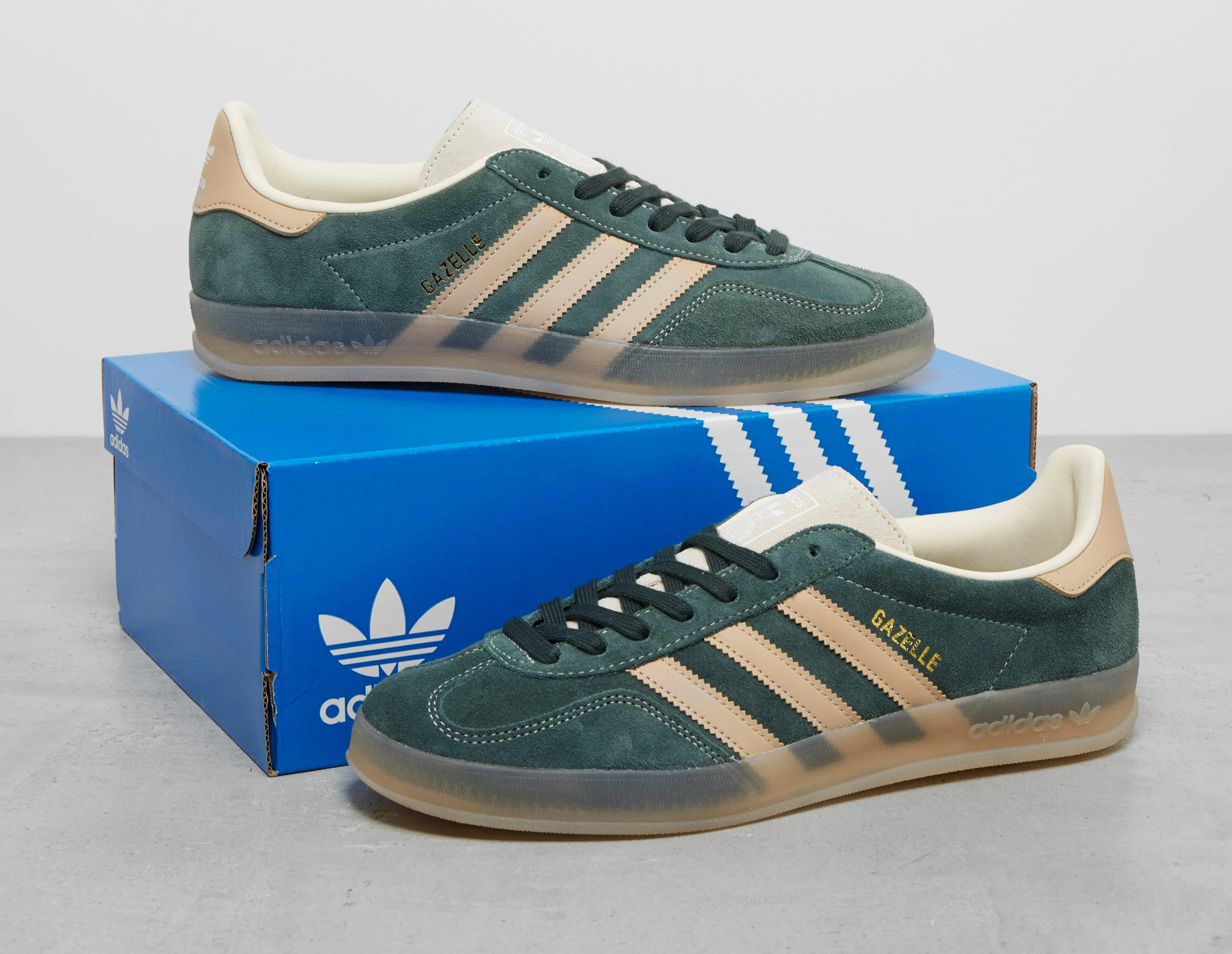 Gazelle Indoor - Image 5