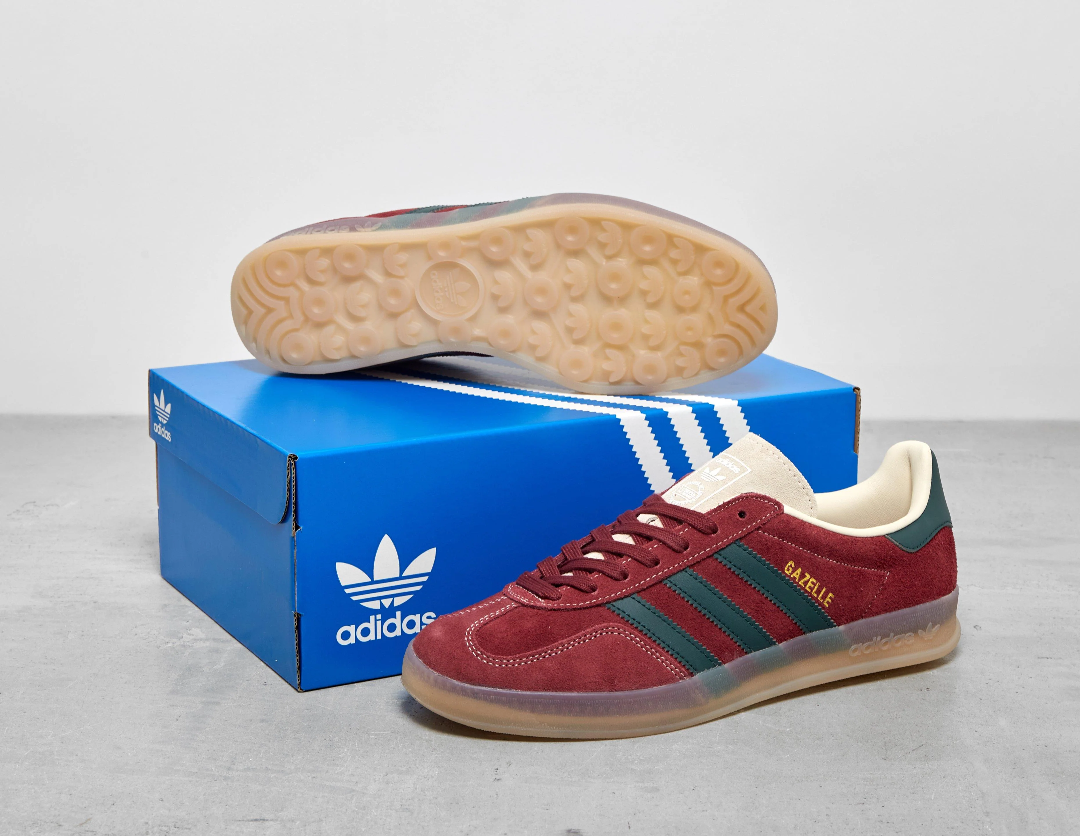 Gazelle Indoor - Image 5